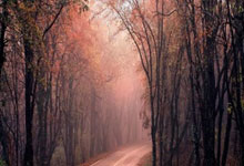 2021年NBA录像高清回放去哪找？这些渠道和精彩瞬间别错过！