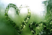 卡塔尔对阵伊朗，谁能在亚洲足坛的较量中更胜一筹？